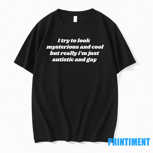 I Try To Look Mysterious And Cool But Really Im Just Autistic And Gay Tshirts - clothing by TeeHivey.com