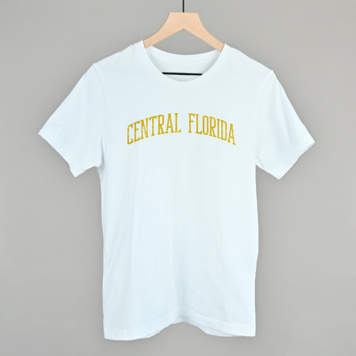 Central Florida Arch - clothing by TeeHivey.com (Image 1)