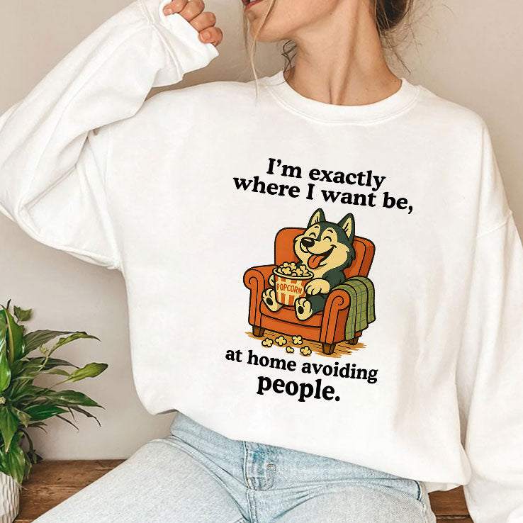 I’m Exactly Where I Want Be At Home Avoiding People T Shirt