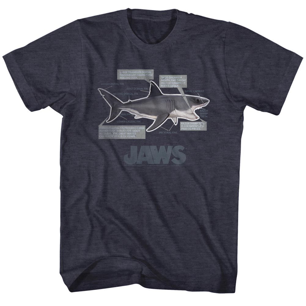 Jaws - Anatomy - Short Sleeve - Heather - Adult - T-Shirt - clothing by TeeHivey.com