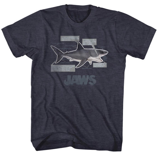 Jaws - Anatomy - Short Sleeve - Heather - Adult - T-Shirt - clothing by TeeHivey.com
