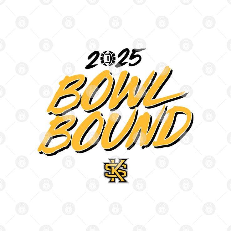Kennesaw State Owls 2025 Bowl Bound T Shirt