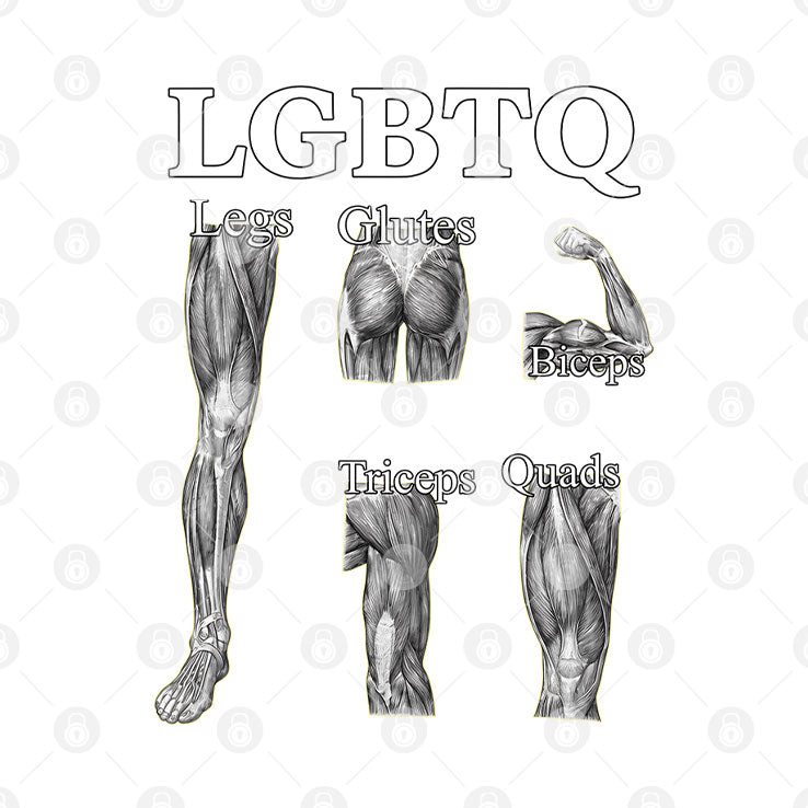LGBTQ Legs Glutes Biceps Tricepts Quads Funny Gym T Shirt