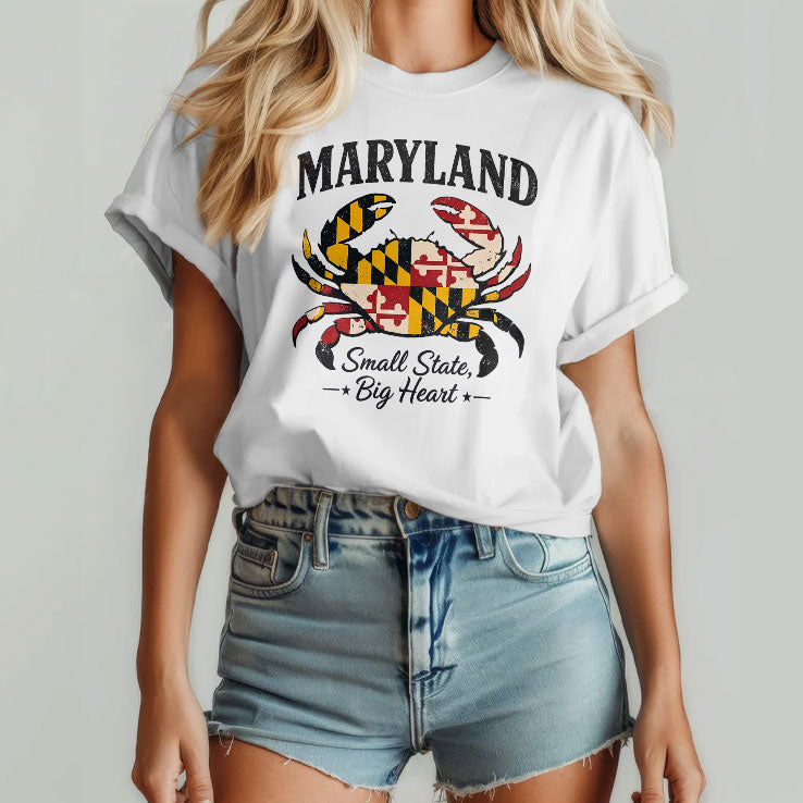 Maryland Small State Big Heart DC Small City Big Dreams Shirt