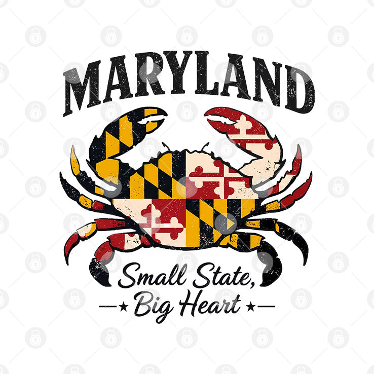 Maryland Small State Big Heart DC Small City Big Dreams Shirt