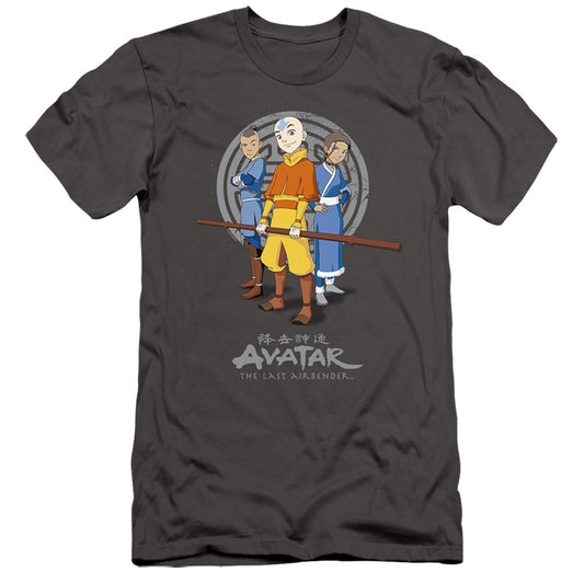 Avatar The Last Airbender Team Avatar Slim Fit Mens T Shirt Charcoal Style002 - clothing by TeeHivey.com