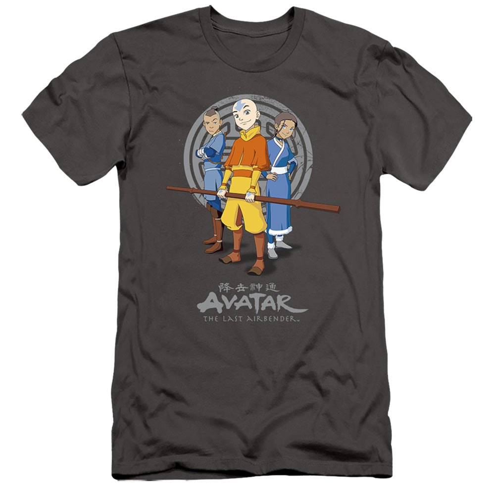 Avatar The Last Airbender Team Avatar Slim Fit Mens T Shirt Charcoal Style003 - clothing by TeeHivey.com