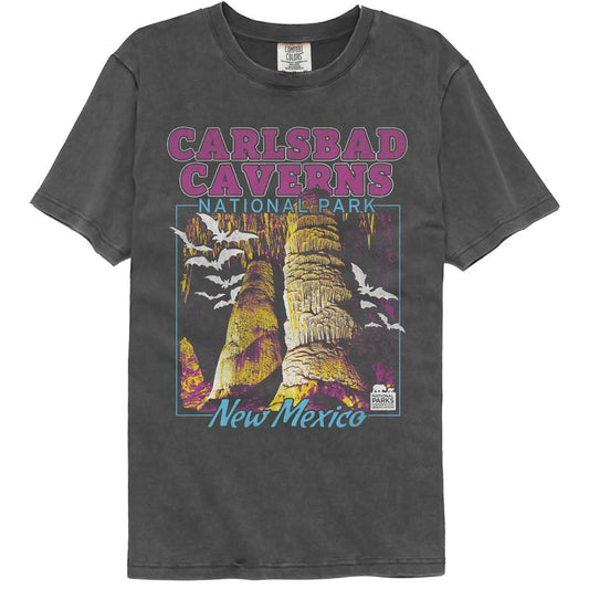 National Parks - Carlsbad Caverns - American Classics - Solid Gray Adult Short Sleeve Comfort Color T-Shirt (Image 1)