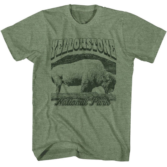 National Parks - Yellowstone Bison - American Classics - Heather Green Adult Short Sleeve T-Shirt