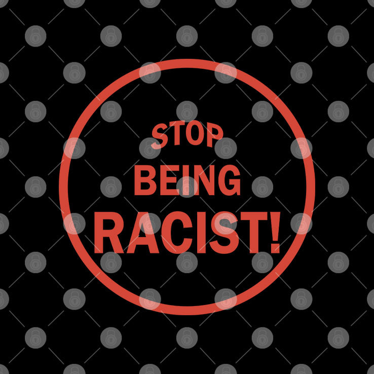 NaLyssa Smith Stop Being Racist T Shirt