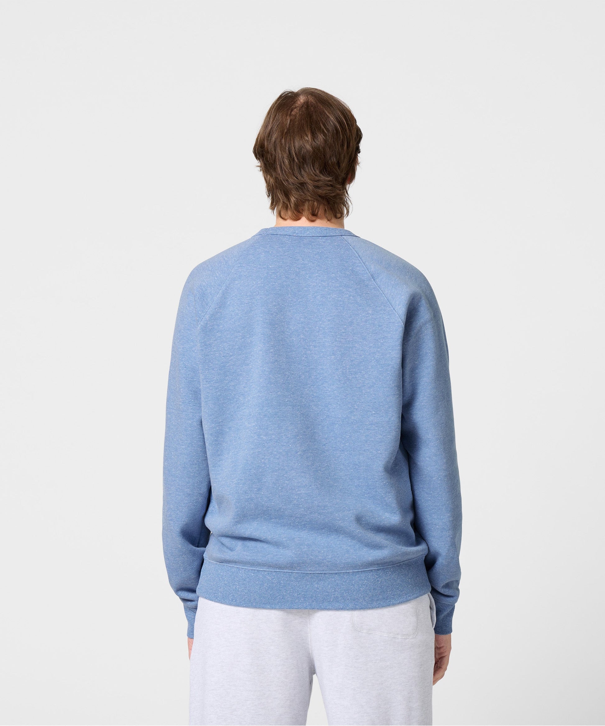 Not Now Arctic Puffin Crewneck