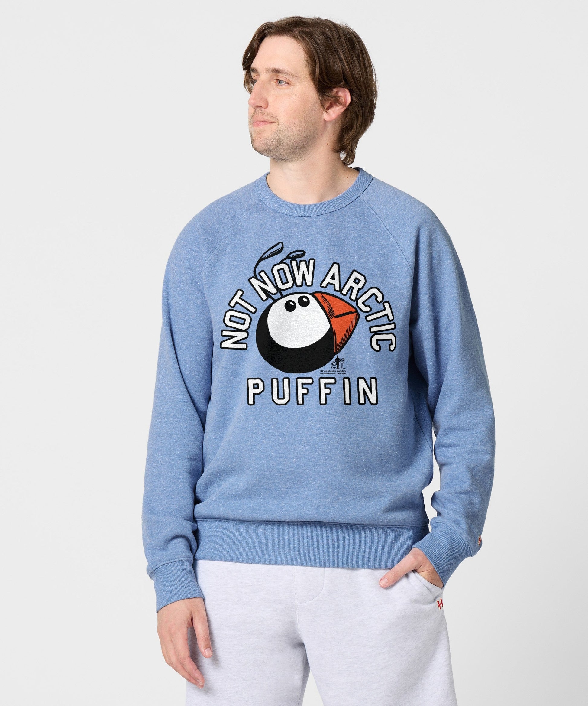 Not Now Arctic Puffin Crewneck