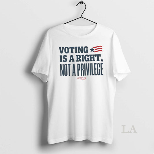 Original Voting Is A Right Not A Privilege American