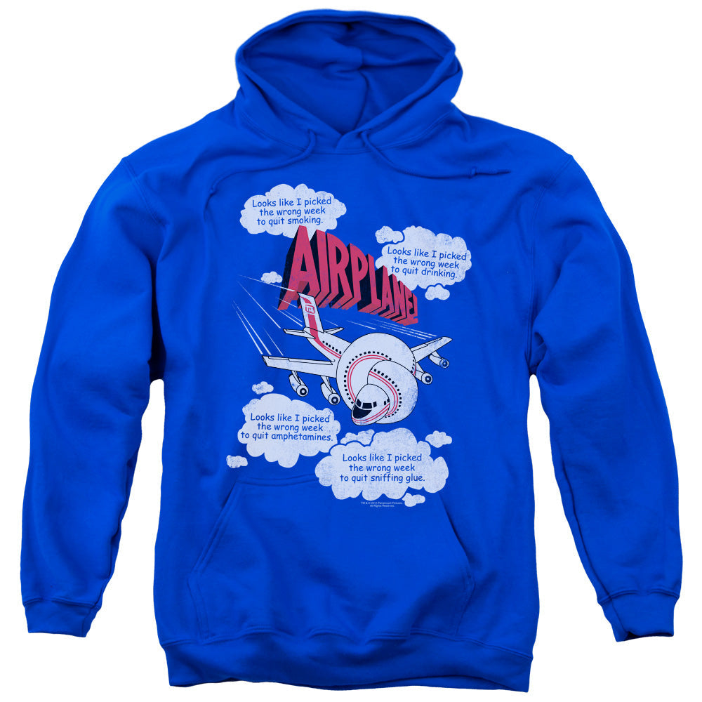 Airplane Picked The Wrong Day Mens Hoodie Royal Blue