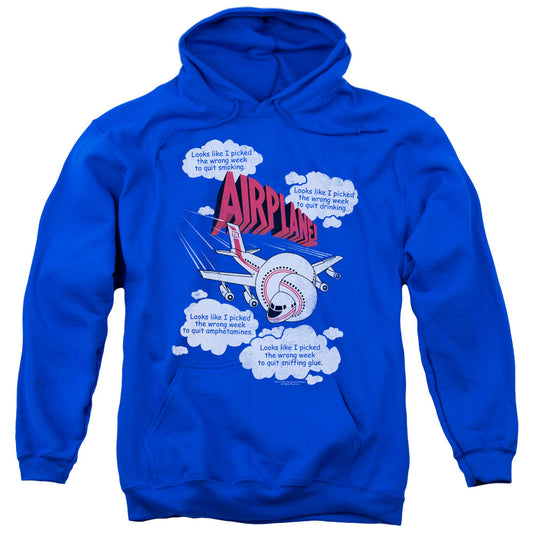 Airplane Picked The Wrong Day Mens Hoodie Royal Blue