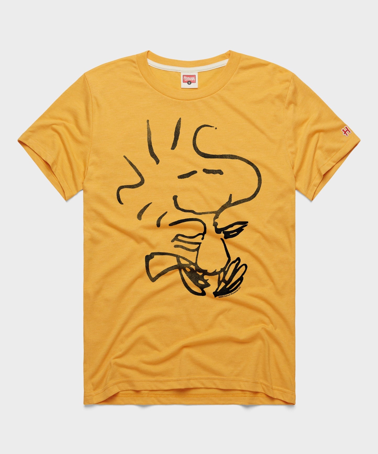Peanuts Woodstock Character