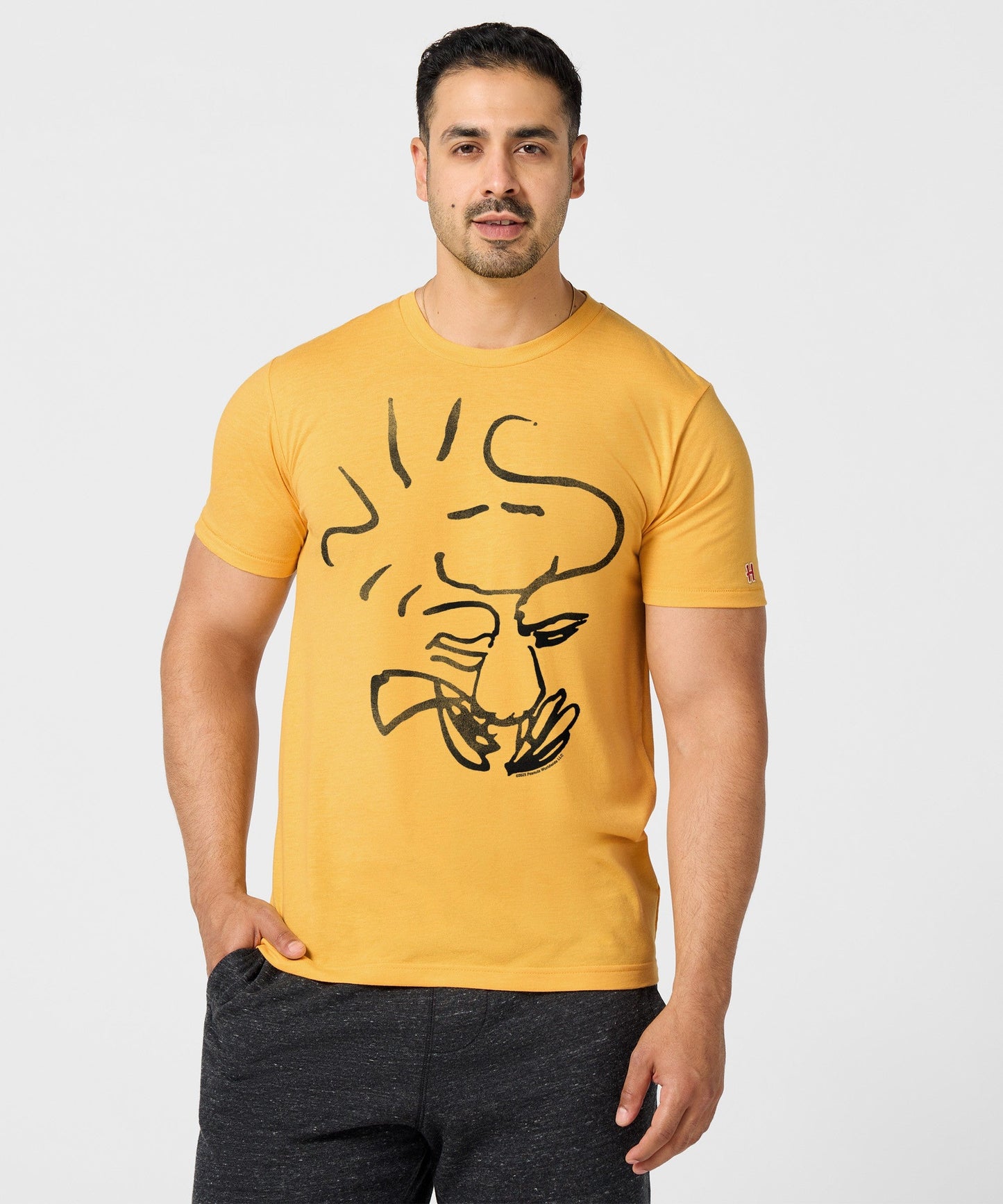 Peanuts Woodstock Character
