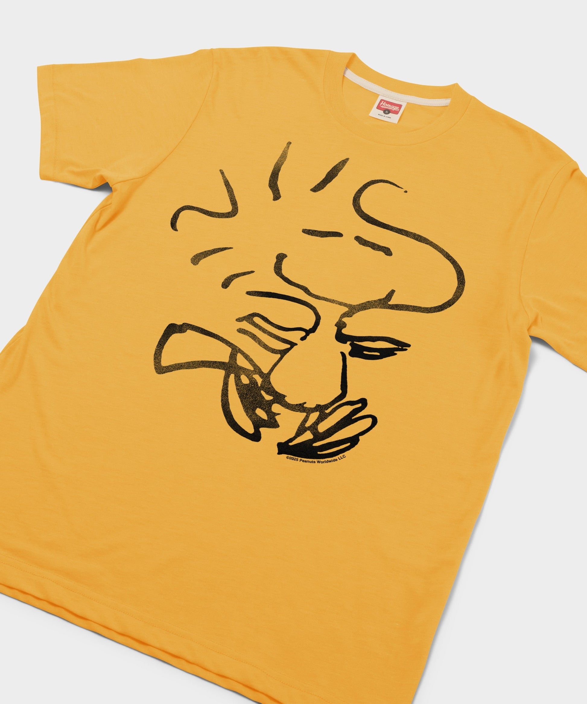 Peanuts Woodstock Character