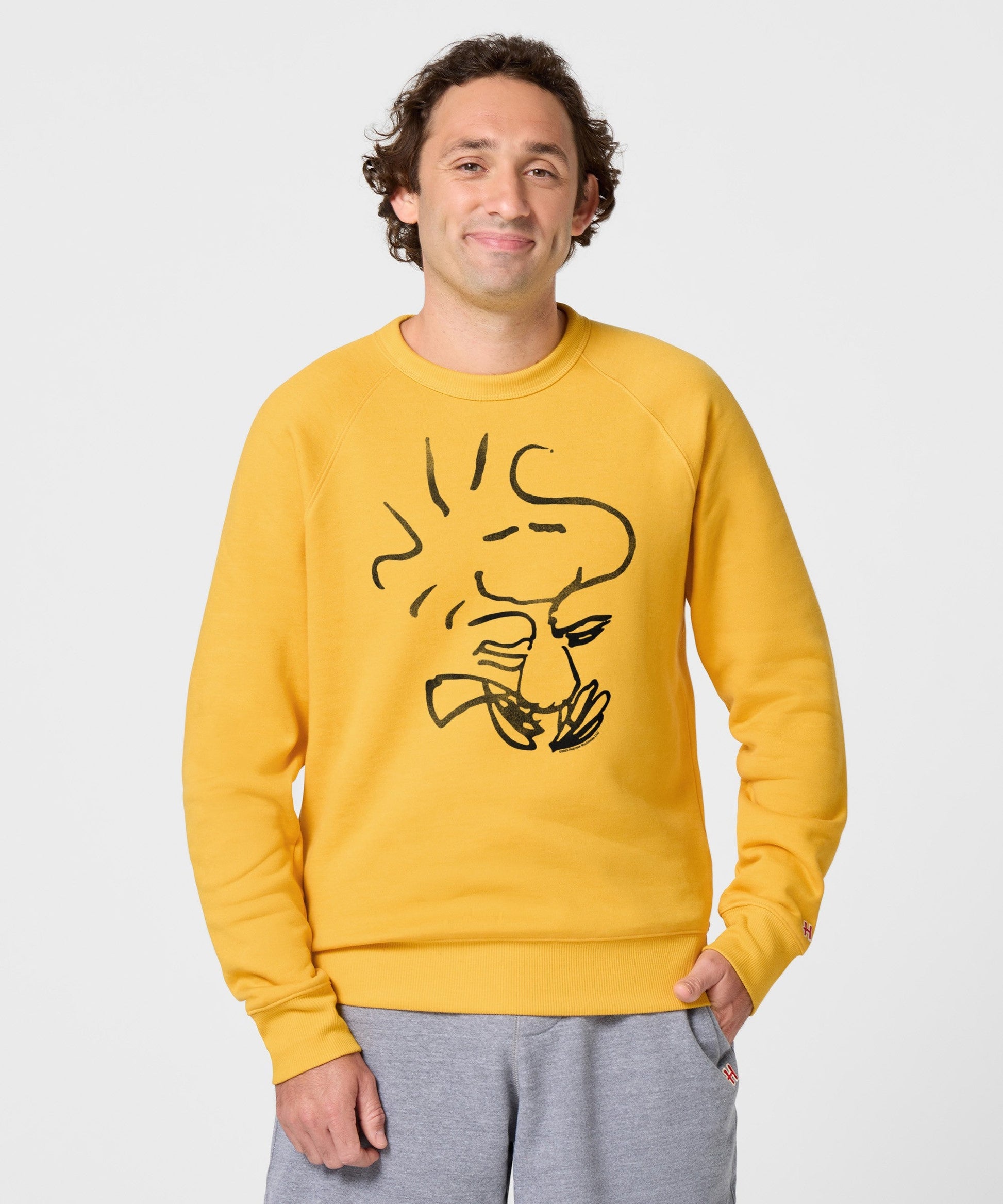 Peanuts Woodstock Character Crewneck