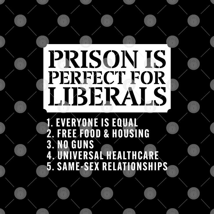 Prison Is Perfect For Liberals Shirt