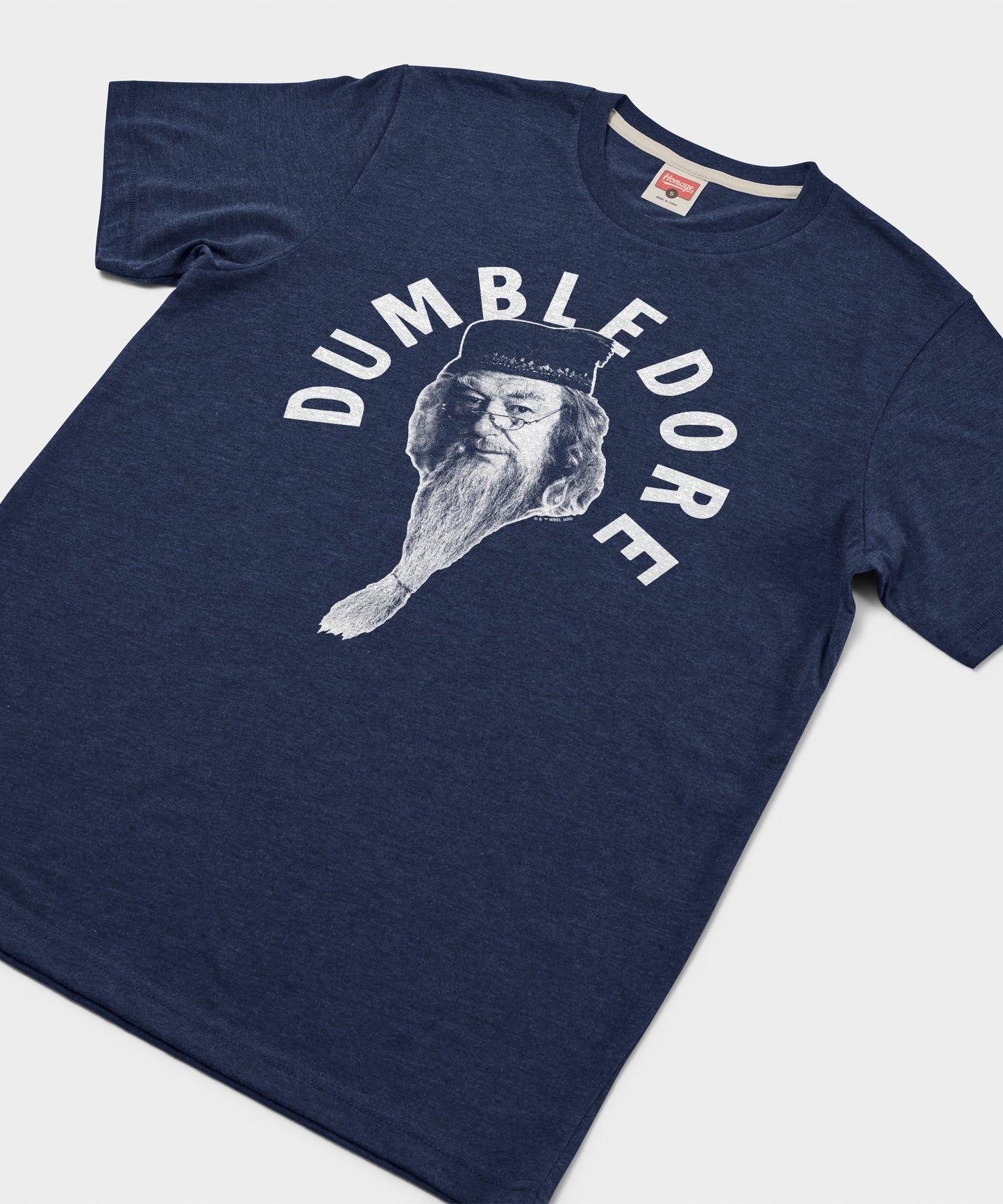 Professor Dumbledore