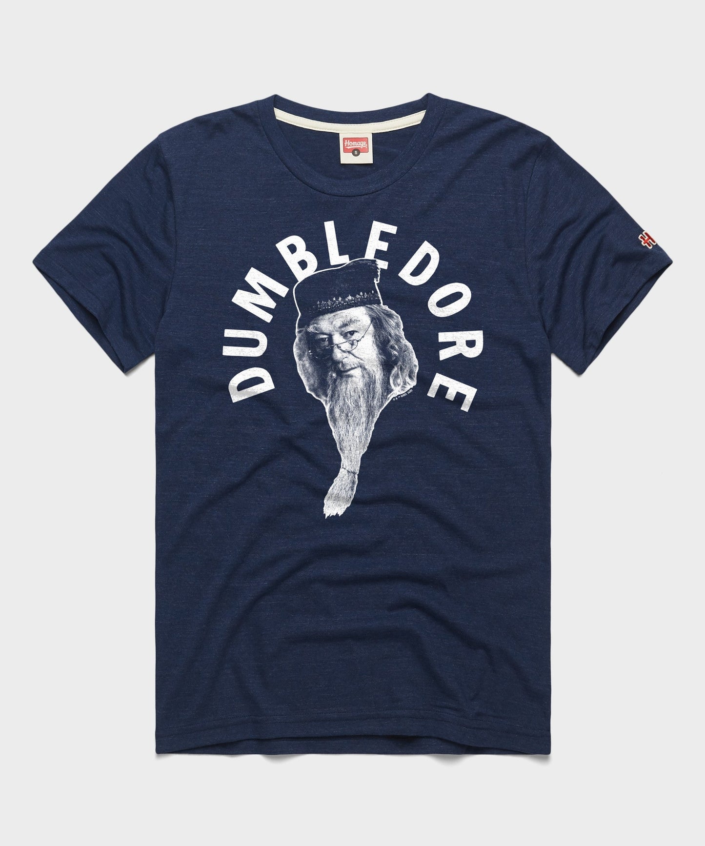 Professor Dumbledore