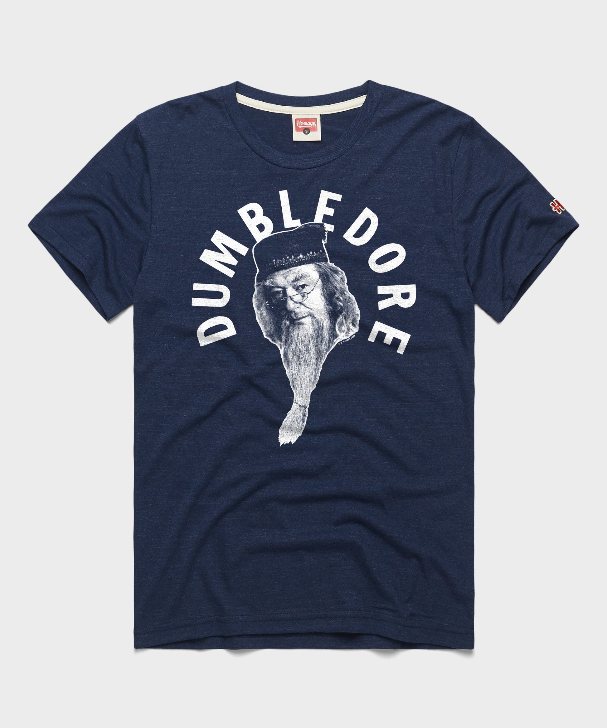 Professor Dumbledore
