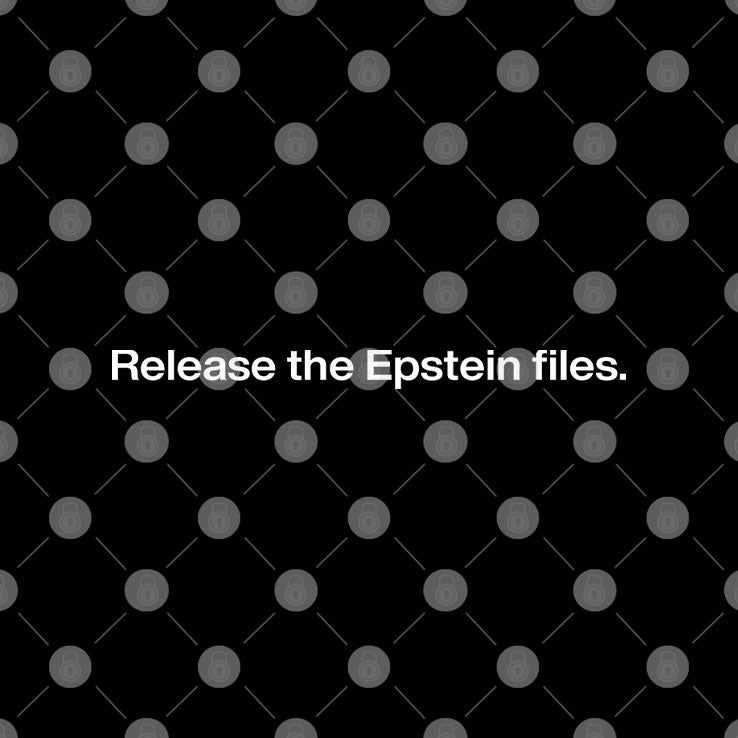 Release The Epstein Files T Shirt