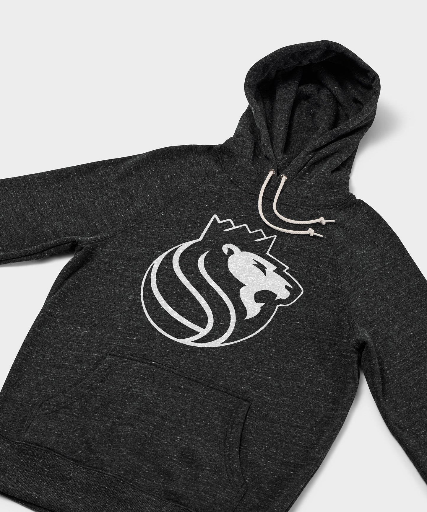 Sacramento Kings Blacktop Logo Hoodie