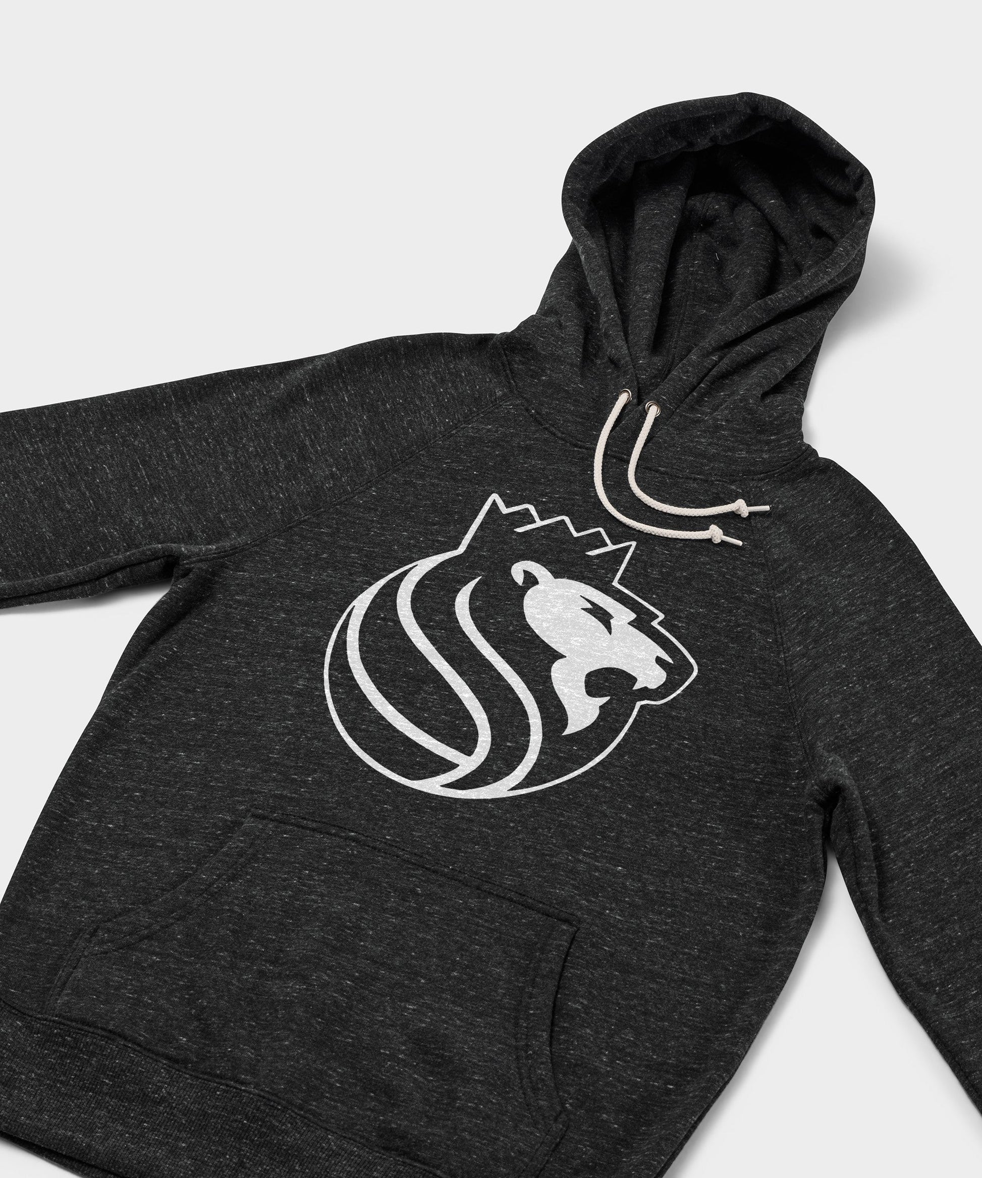 Sacramento Kings Blacktop Logo Hoodie