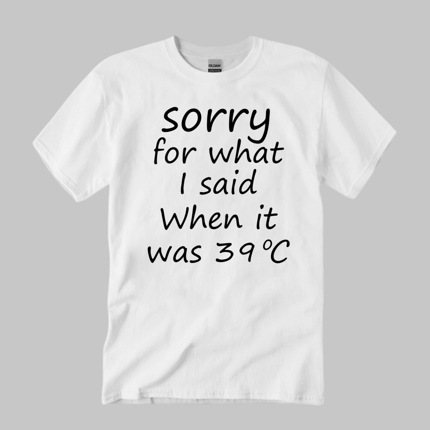 Sorry For What I Said When It Was 39 Degrees Celsius Shirt