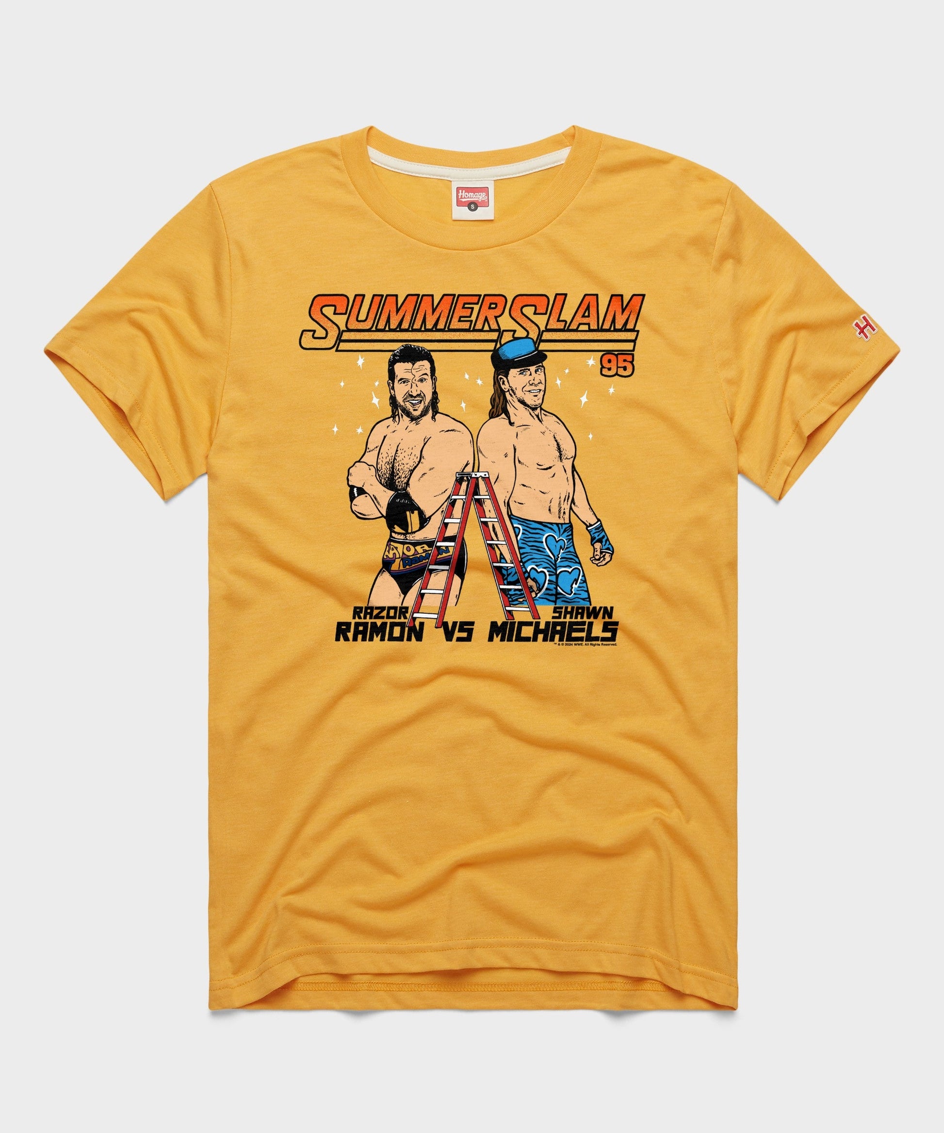 SummerSlam 1995 Ramon Vs Michaels