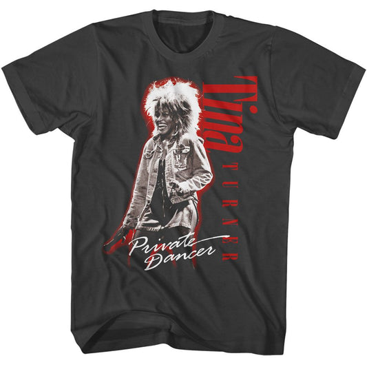 Tina Turner - Private Dancer - American Classics - Adult Short Sleeve T-Shirt - clothing by TeeHivey.com (Image 1)