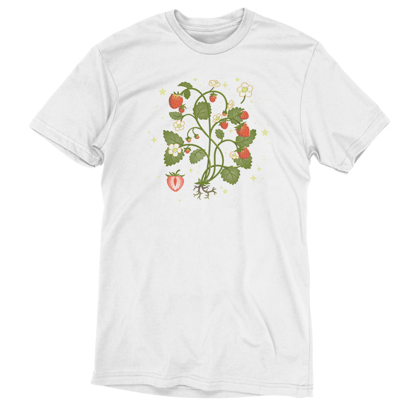 Strawberry Harvest