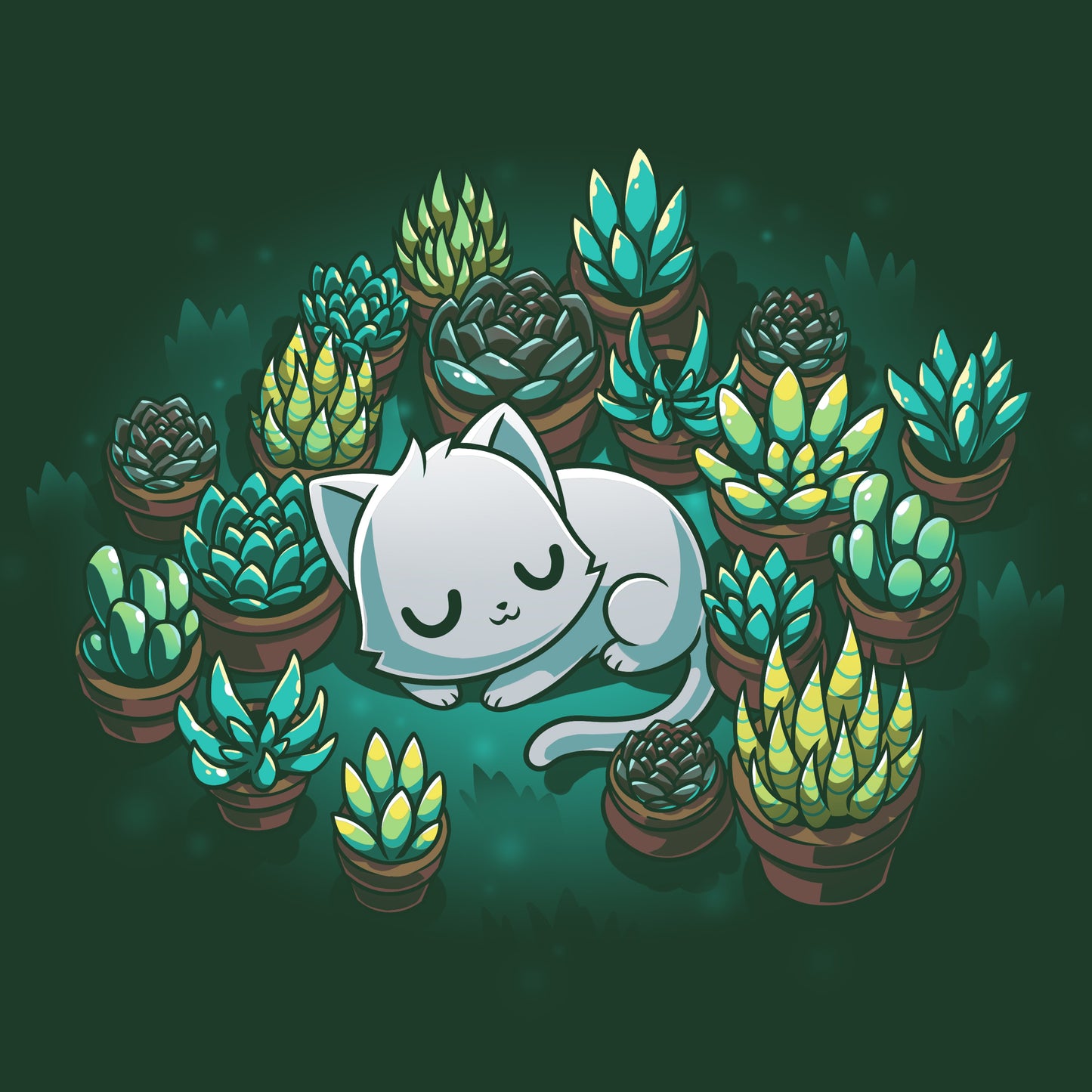 Succulent Garden
