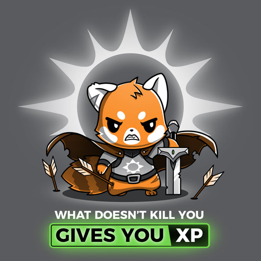 What Doesn't Kill You (Paladin)