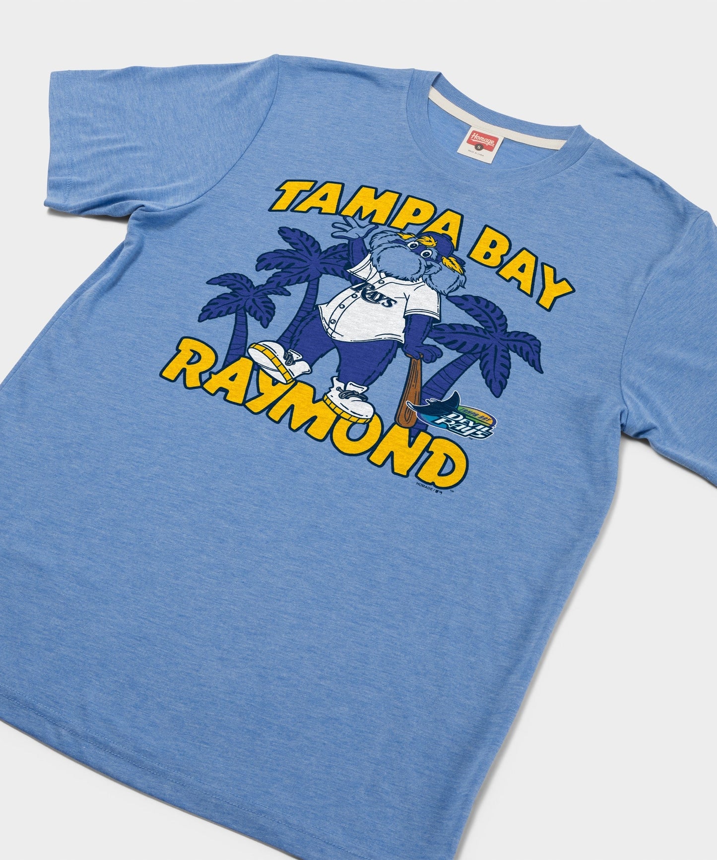 Tampa Bay Rays Raymond