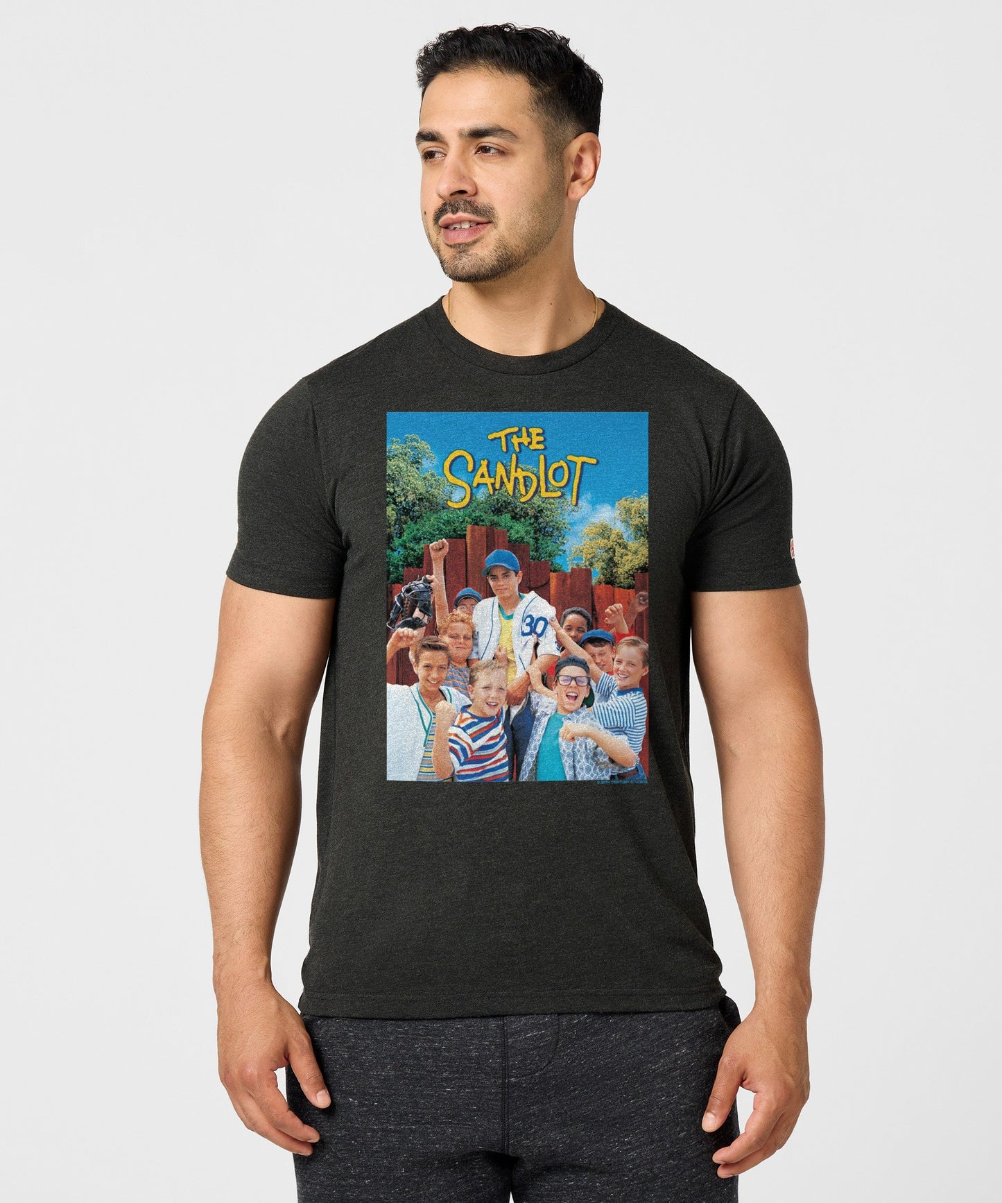 The Sandlot Poster