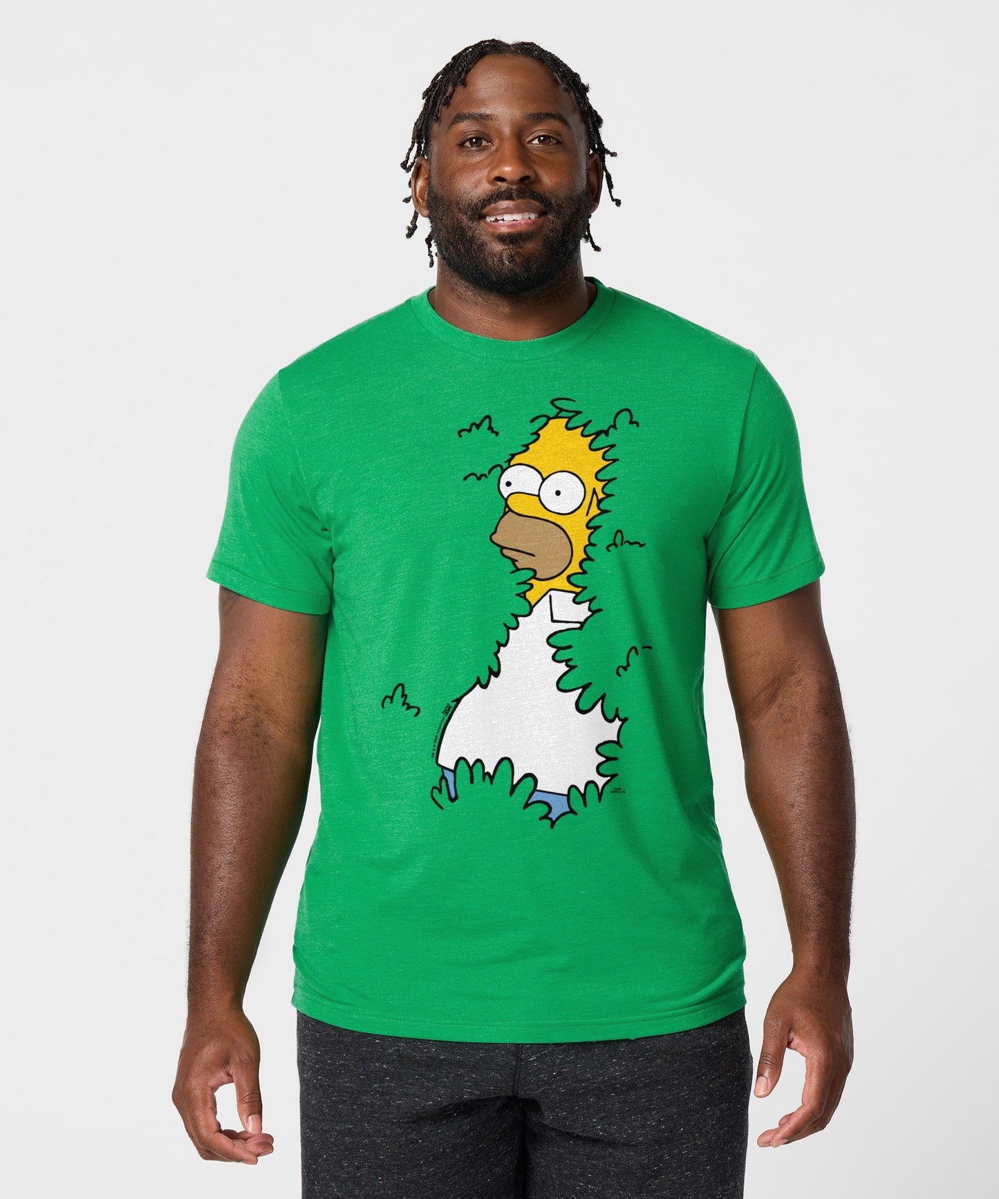 The Simpsons Homer In The Bushes