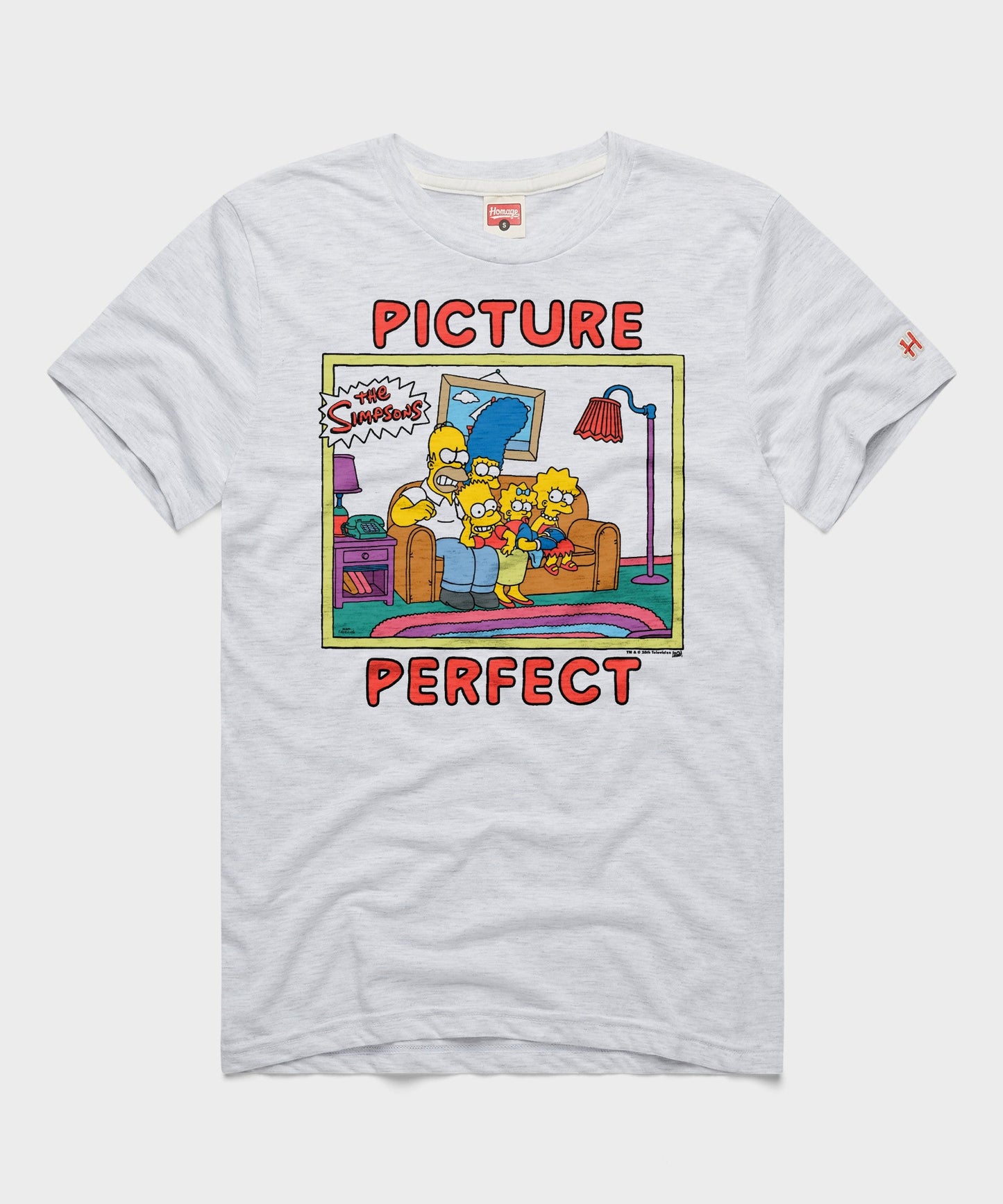 The Simpsons Picture Perfect