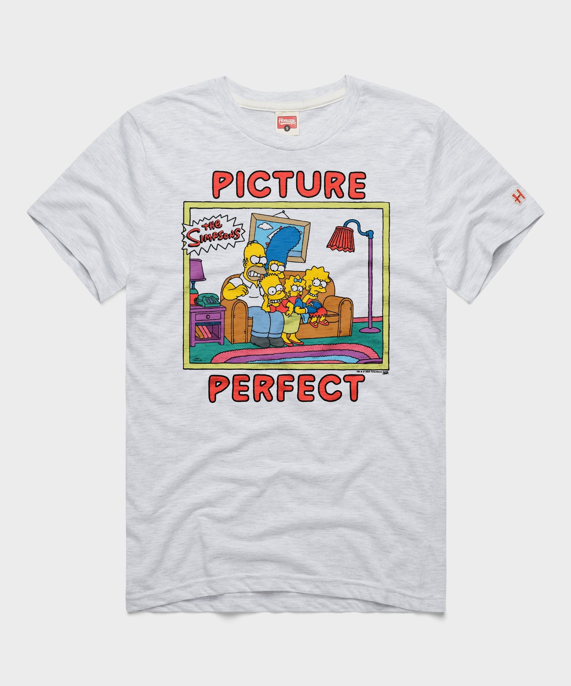 The Simpsons Picture Perfect