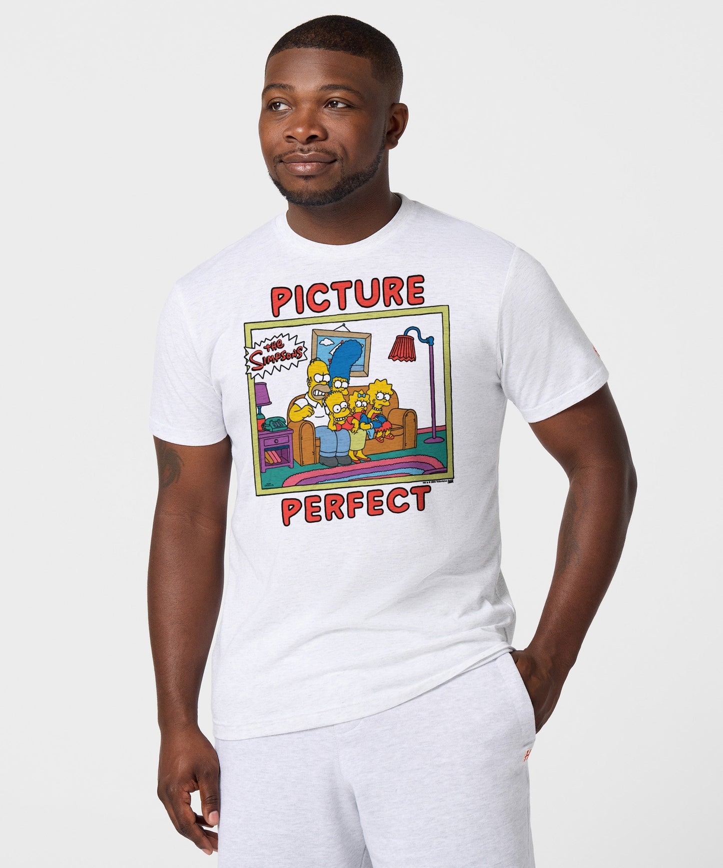 The Simpsons Picture Perfect