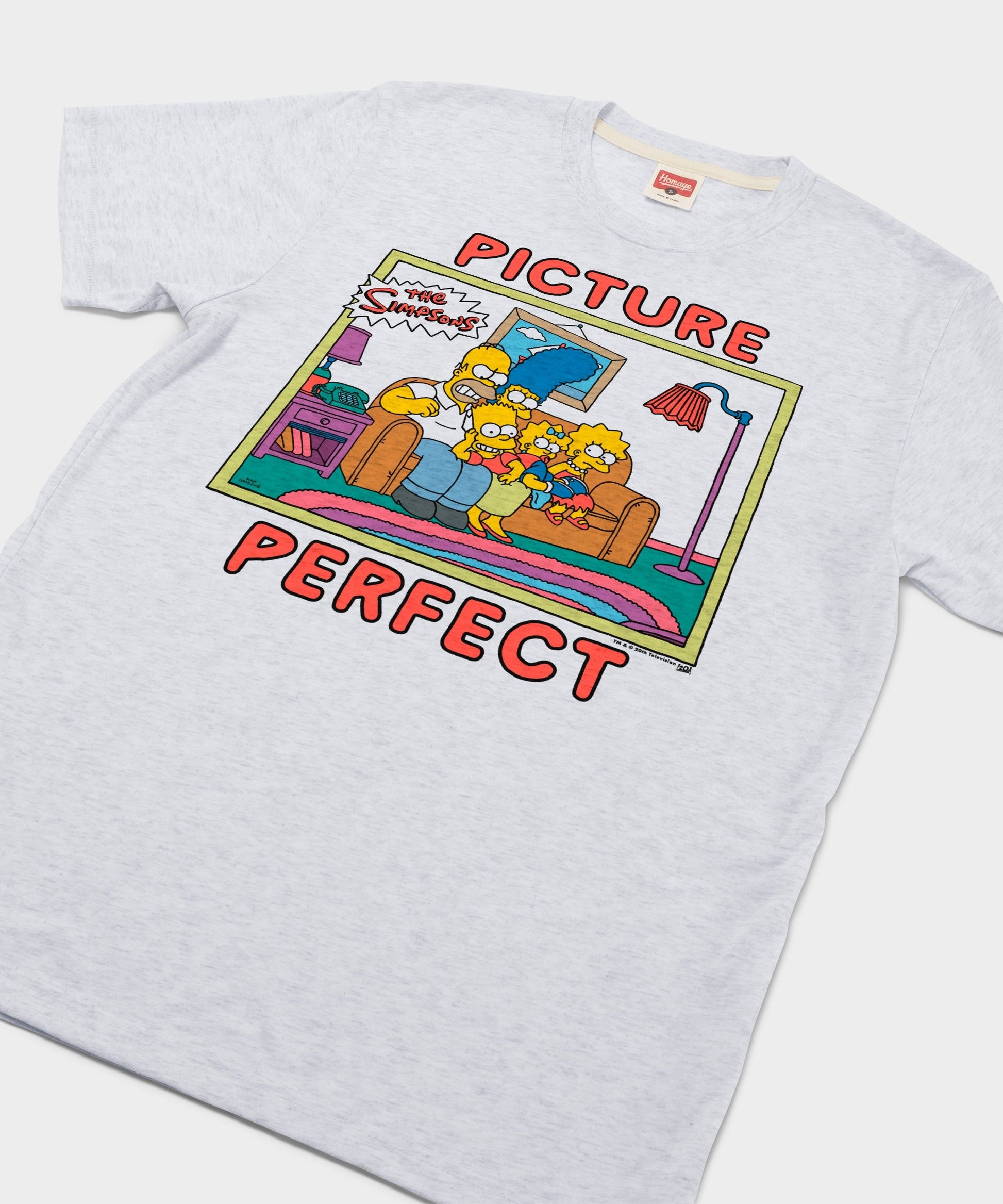 The Simpsons Picture Perfect