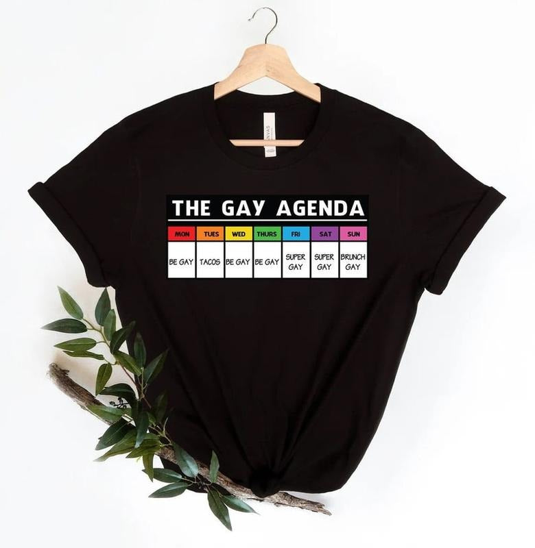 The gay agenda shirt, Gay Shirt, LGBT Shirt, Bisexual Shirt, Lesbian Shirt, vintage shirt, LGBT Gift, Pride Rainbow Shirt, trendy shirt,