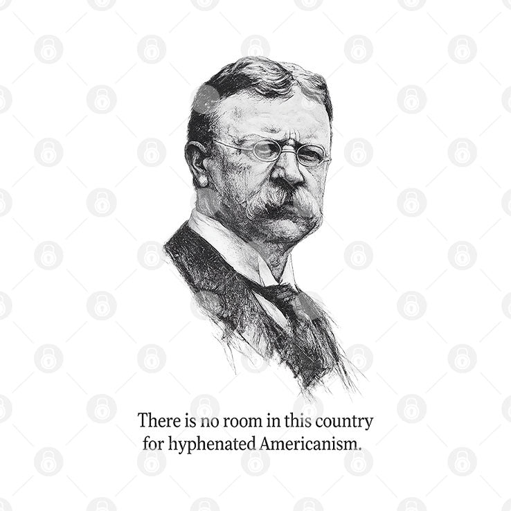 There Is No Room In This Country For Hyphenated Americanism Theodore Roosevelt Shirt