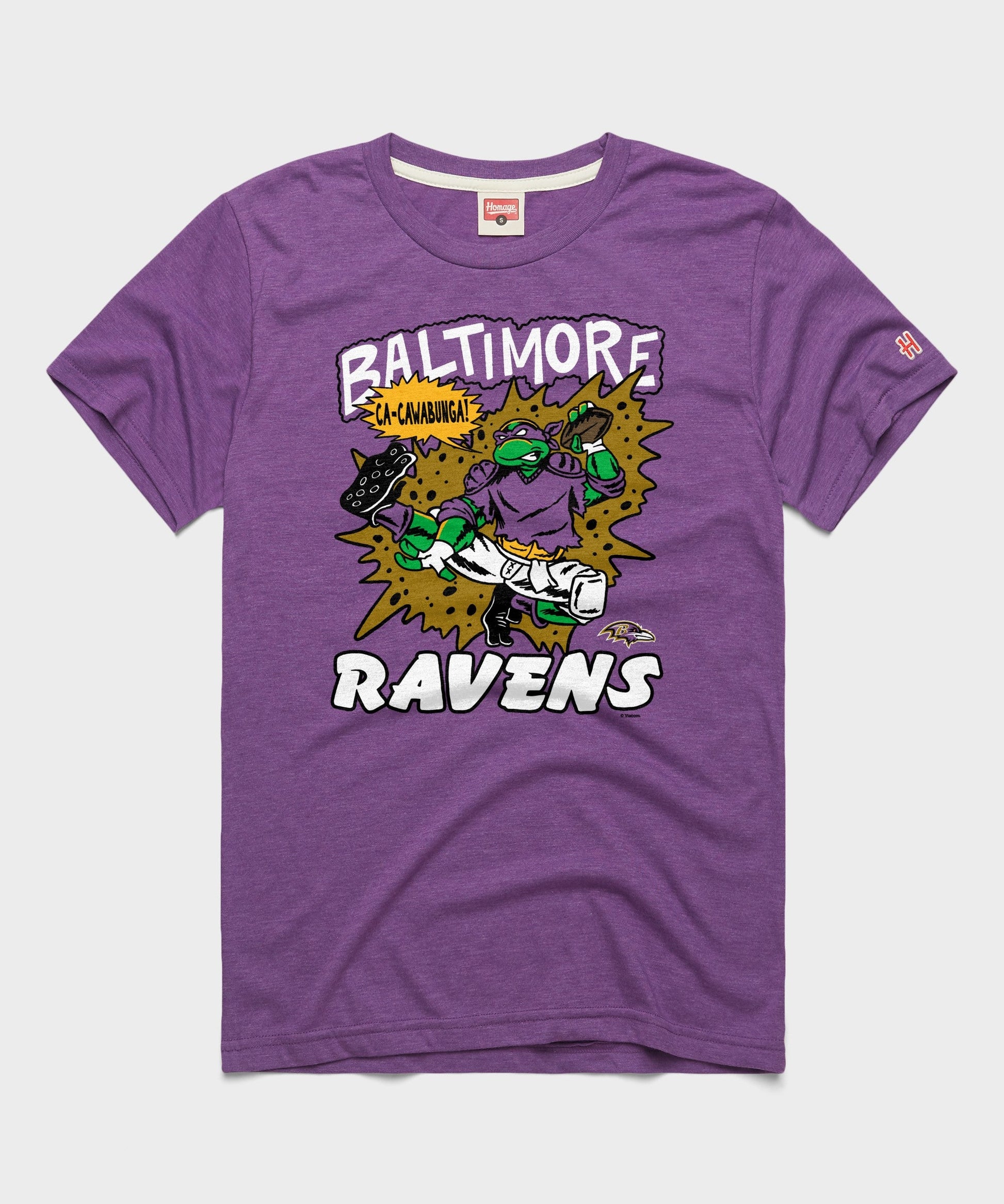 TMNT Donatello x Baltimore Ravens