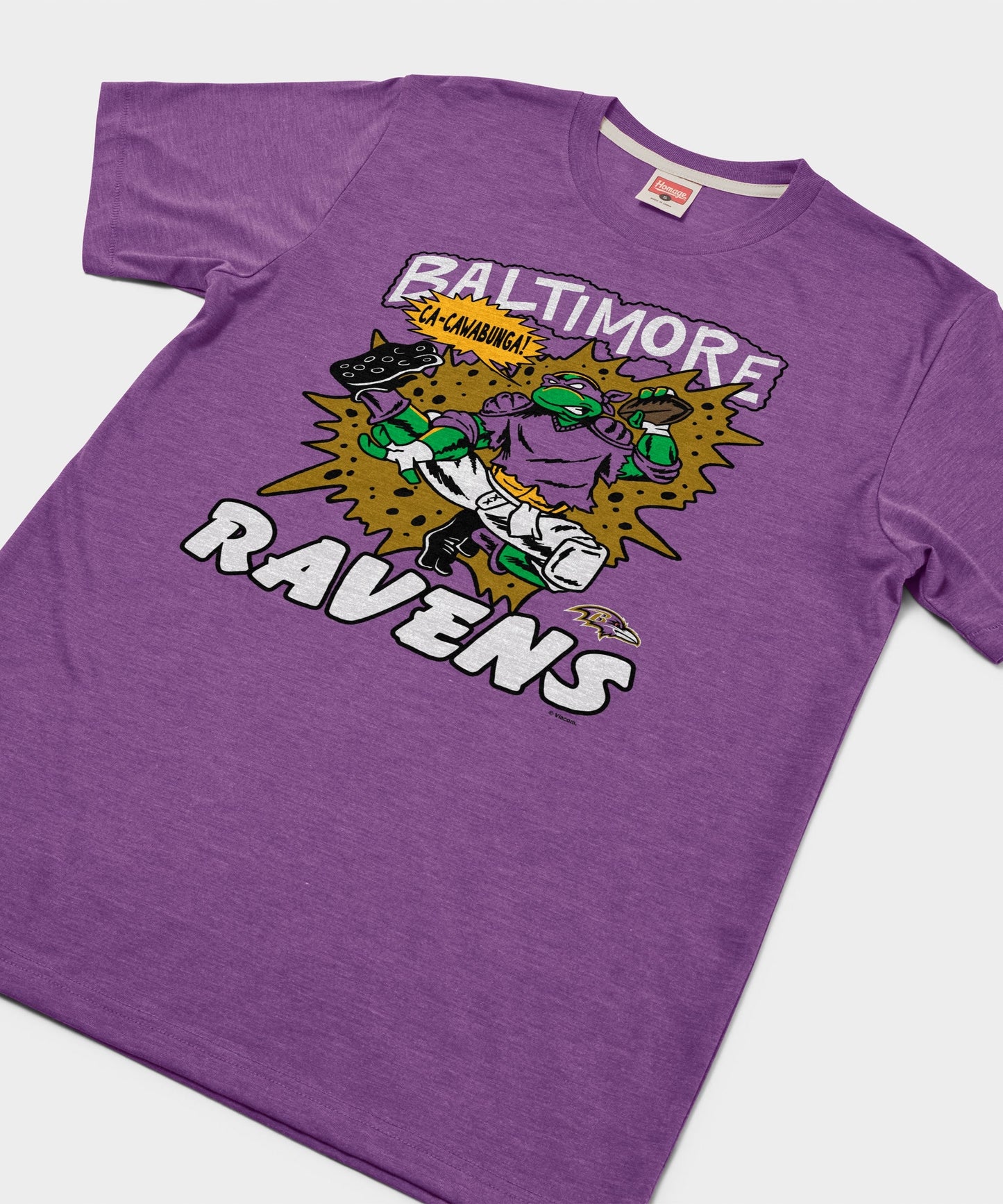 TMNT Donatello x Baltimore Ravens