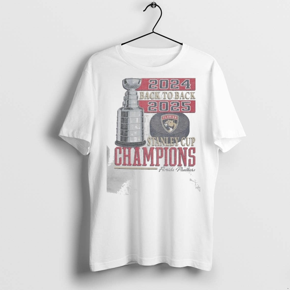 Premium Florida Panthers Back To Back Vintage 2025 T Shirts - clothing by TeeHivey.com