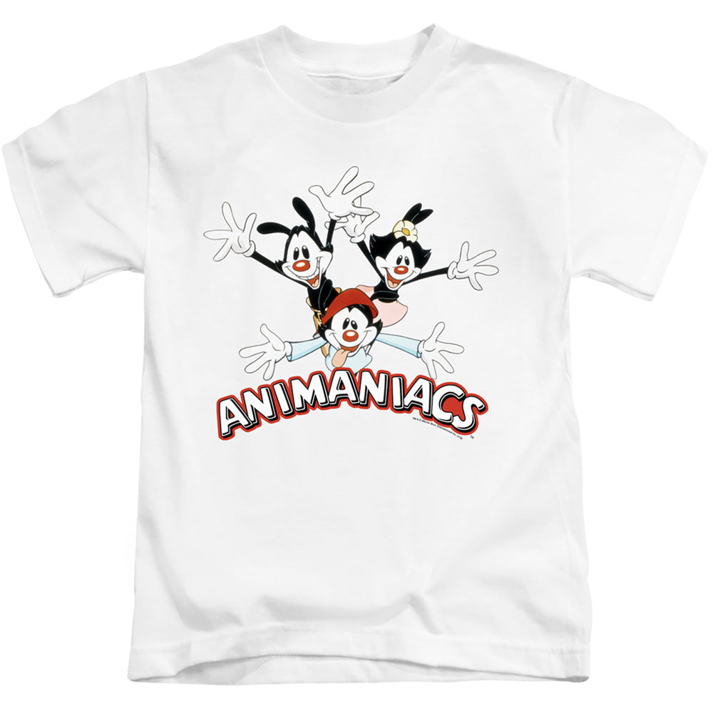 Animaniacs Animaniacs Trio Juvenile Kids Youth T Shirt White - clothing by TeeHivey.com
