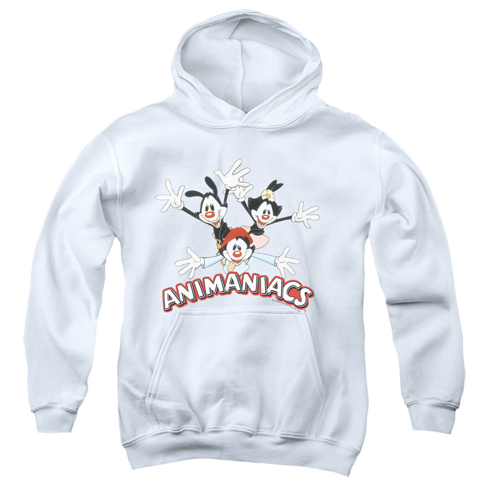 Animaniacs Animaniacs Trio Kids Youth Hoodie White - clothing by TeeHivey.com